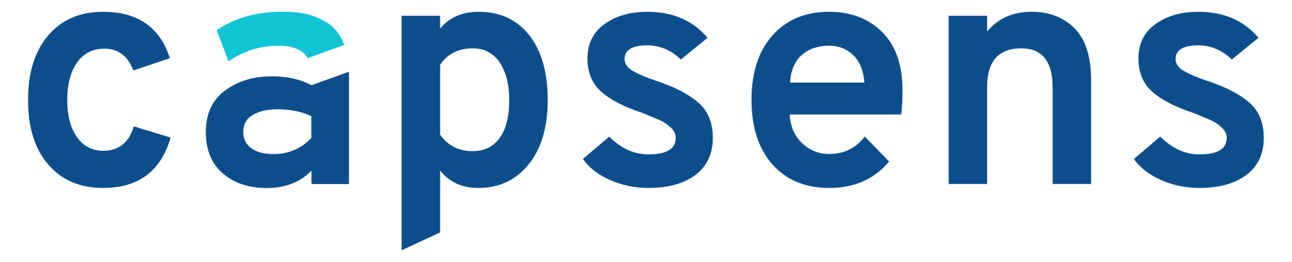 Logo of Capsens, the fintech web agency.